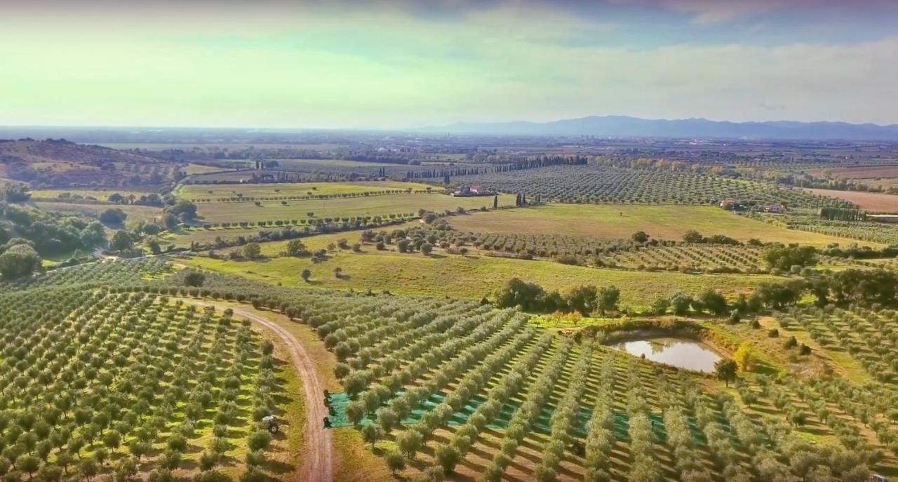 Agriturismo La Fonte Гроссето Екстер'єр фото