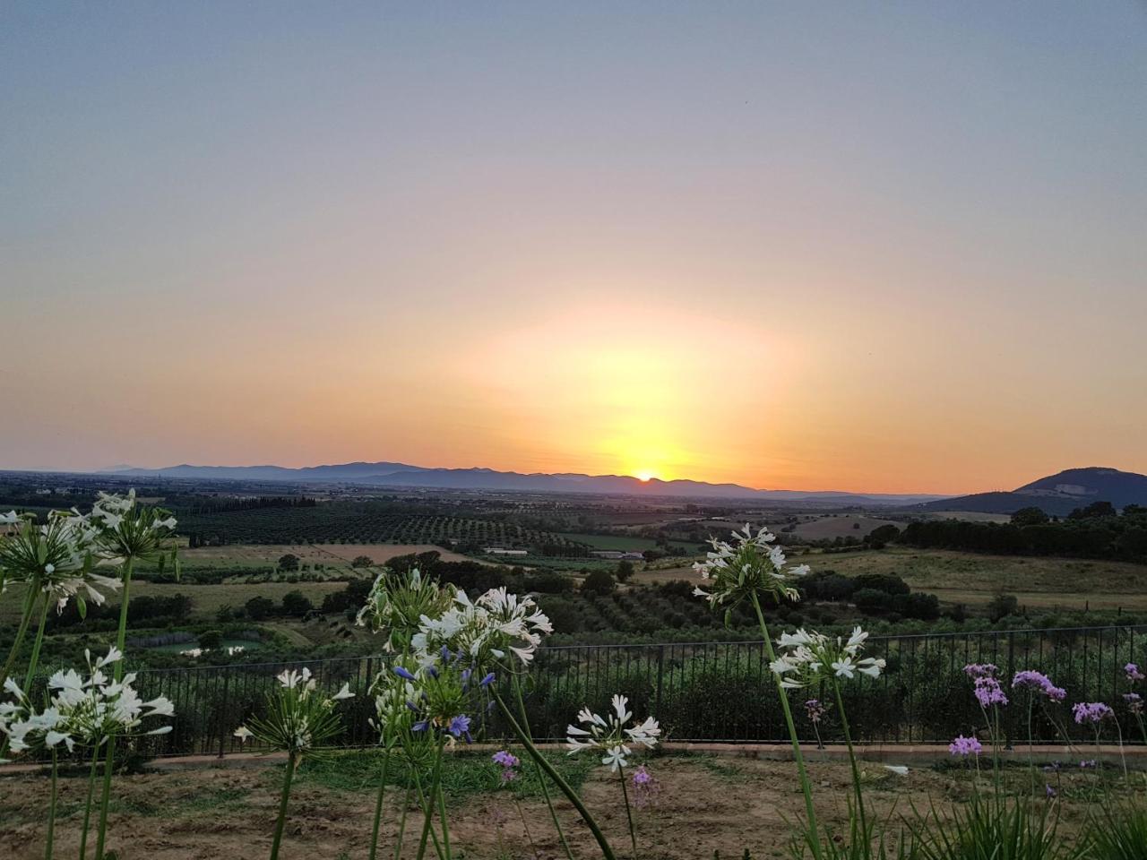 Agriturismo La Fonte Гроссето Екстер'єр фото