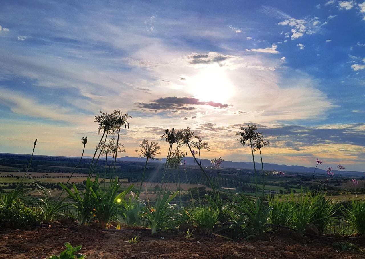Agriturismo La Fonte Гроссето Екстер'єр фото