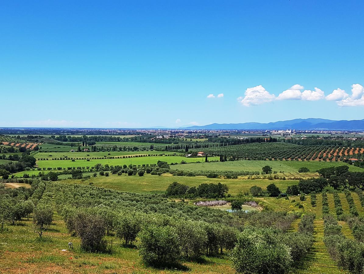 Agriturismo La Fonte Гроссето Екстер'єр фото